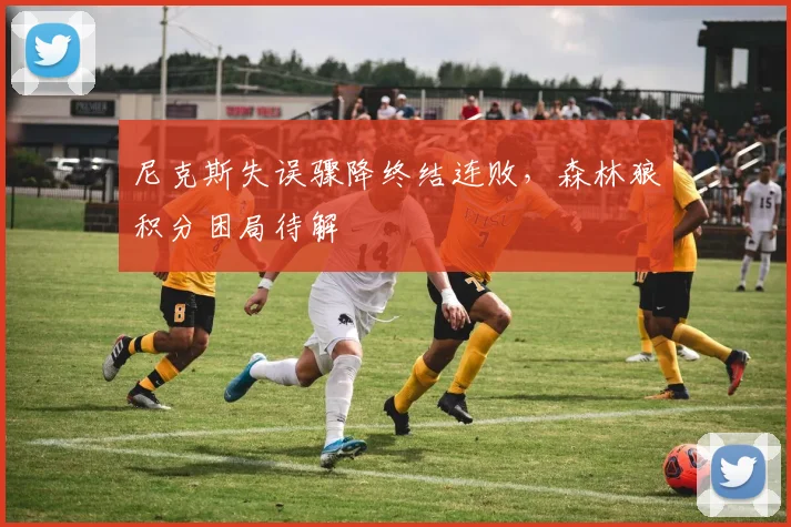 尼克斯失误骤降终结连败，森林狼积分困局待解
