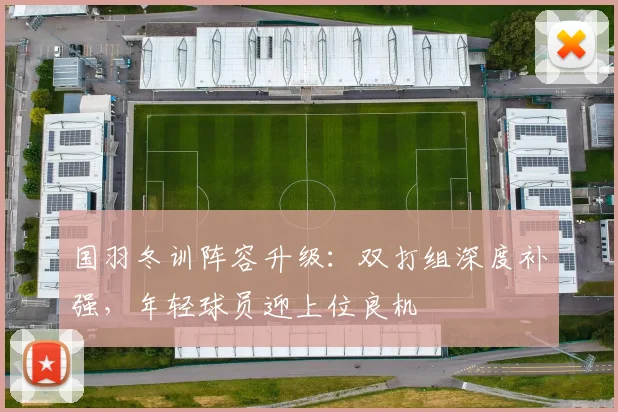 国羽冬训阵容升级：双打组深度补强，年轻球员迎上位良机